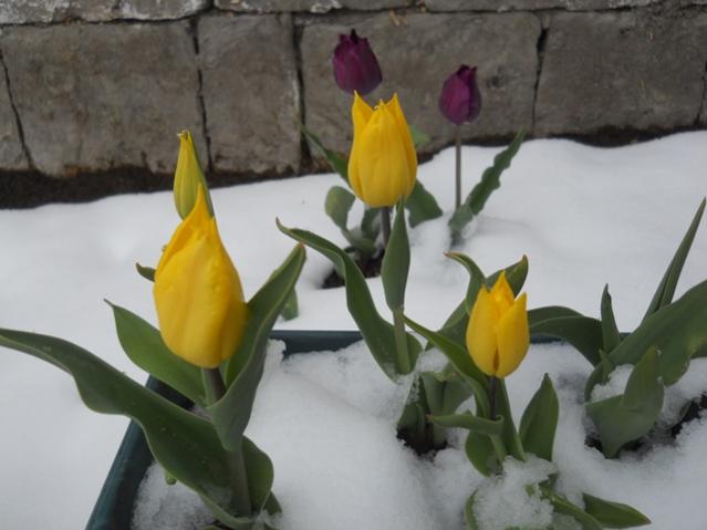 Name:  DSCN4964.jpg
Views: 1021
Size:  33.9 KB