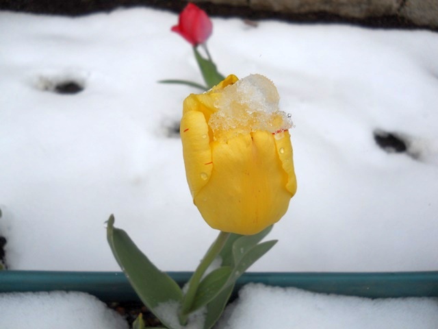 Name:  DSCN4965.JPG
Views: 1009
Size:  55.2 KB