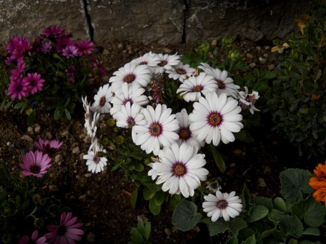 Name:  DSCN5138.jpg
Views: 931
Size:  50.8 KB