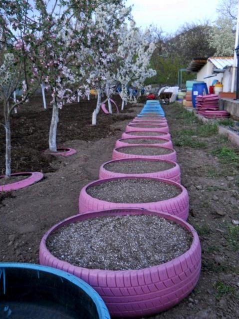 Name:  DSCN5171.jpg
Views: 850
Size:  61.5 KB