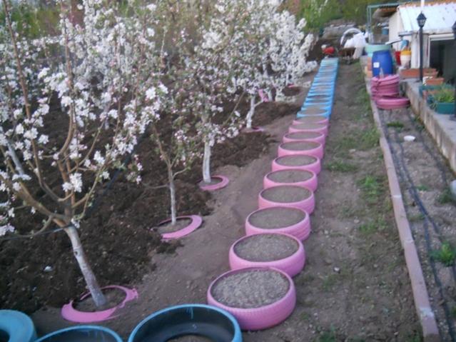 Name:  DSCN5183.jpg
Views: 904
Size:  57.8 KB