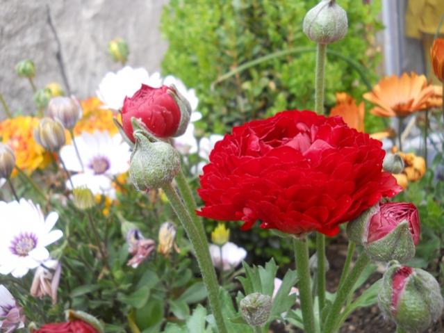 Name:  DSCN5401.jpg
Views: 573
Size:  47.6 KB