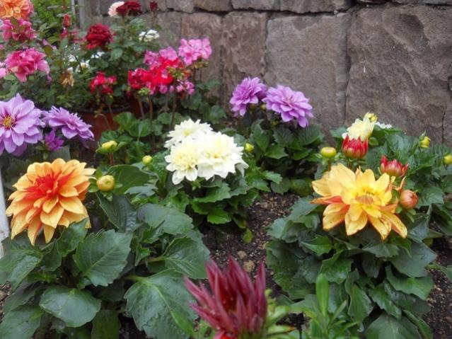Name:  DSCN5292.jpg
Views: 583
Size:  61.5 KB