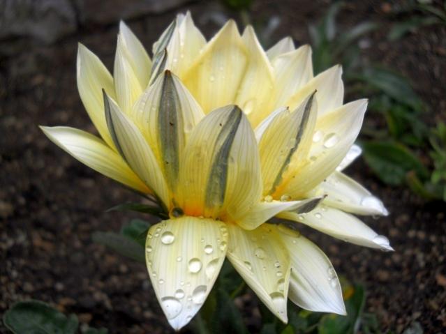 Name:  DSCN5295.jpg
Views: 580
Size:  36.4 KB