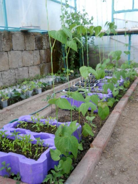Name:  DSCN5431.jpg
Views: 651
Size:  52.0 KB