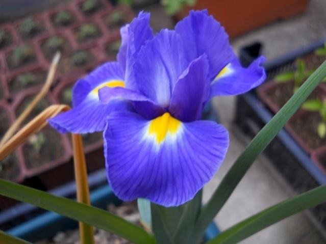 Name:  DSCN5550.jpg
Views: 510
Size:  31.5 KB