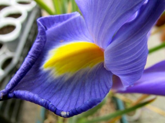 Name:  IMG_0003.jpg
Views: 748
Size:  33.8 KB