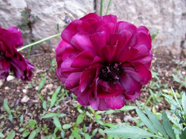 Name:  IMG_0042.jpg
Views: 736
Size:  53.2 KB