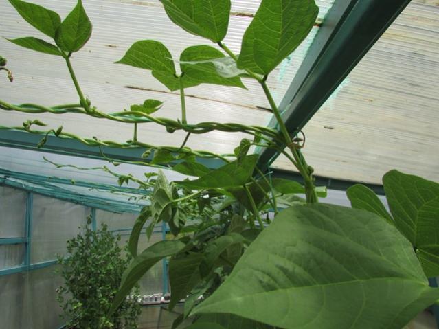 Name:  IMG_0235.jpg
Views: 506
Size:  47.8 KB