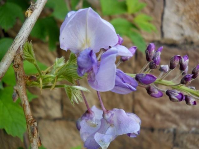 Name:  DSCN5770.jpg
Views: 427
Size:  36.9 KB