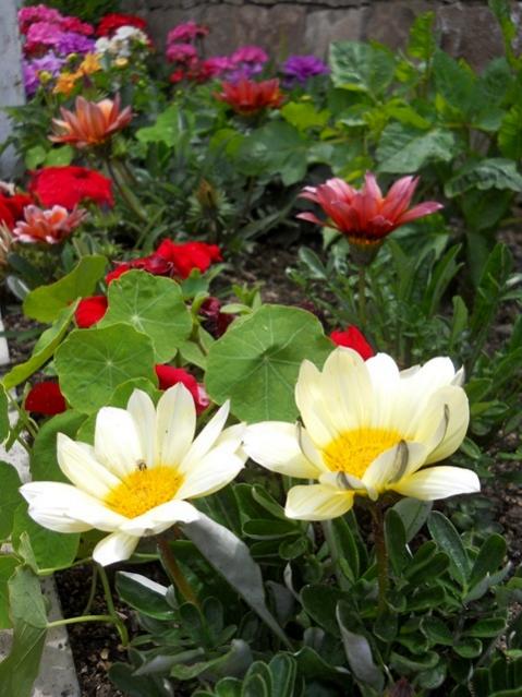Name:  DSCN5904.jpg
Views: 849
Size:  54.0 KB