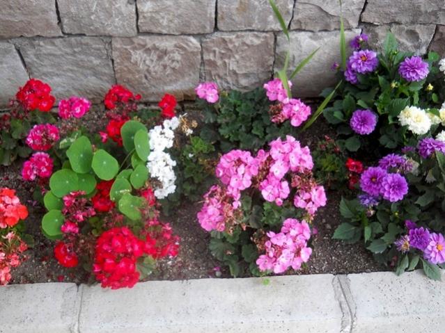 Name:  DSCN6132.jpg
Views: 829
Size:  64.4 KB