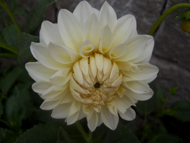 Name:  DSCN6153.JPG
Views: 808
Size:  65.9 KB