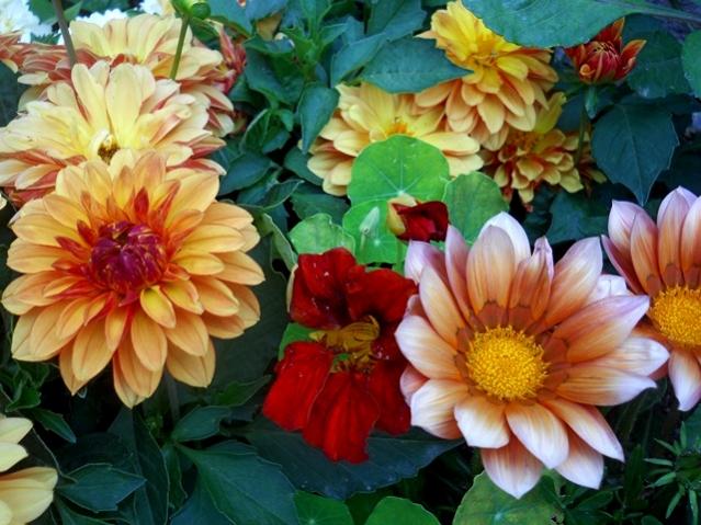 Name:  DSCN6146.jpg
Views: 839
Size:  57.6 KB