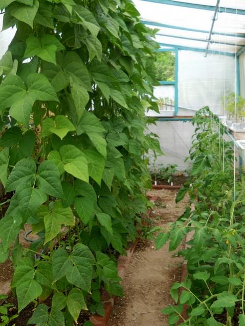 Name:  DSCN6280.jpg
Views: 822
Size:  58.6 KB