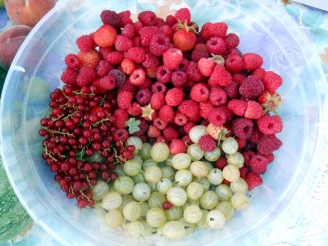 Name:  DSCN6293.jpg
Views: 673
Size:  52.4 KB