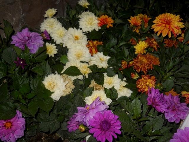 Name:  DSCN6301.jpg
Views: 694
Size:  55.4 KB