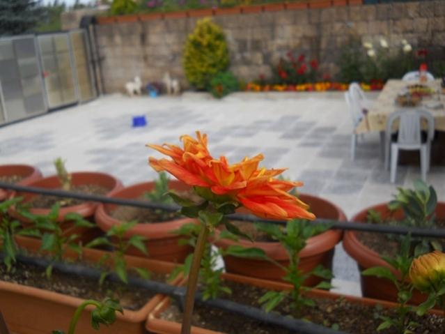 Name:  DSCN6331.jpg
Views: 644
Size:  34.9 KB
