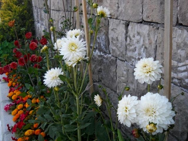 Name:  DSCN6430.jpg
Views: 838
Size:  57.4 KB