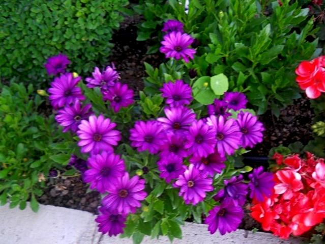 Name:  DSCN6433.jpg
Views: 1004
Size:  59.9 KB