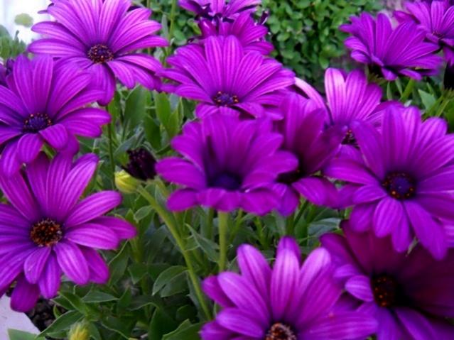 Name:  DSCN6434.jpg
Views: 1114
Size:  50.2 KB