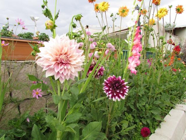 Name:  IMG_0344.jpg
Views: 953
Size:  64.2 KB