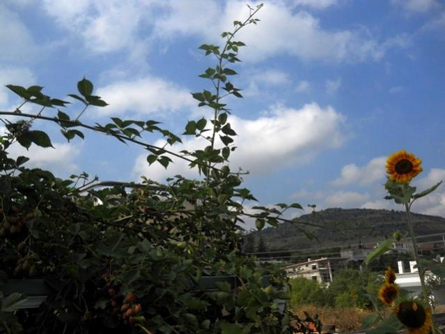 Name:  DSCN6632.jpg
Views: 581
Size:  44.3 KB
