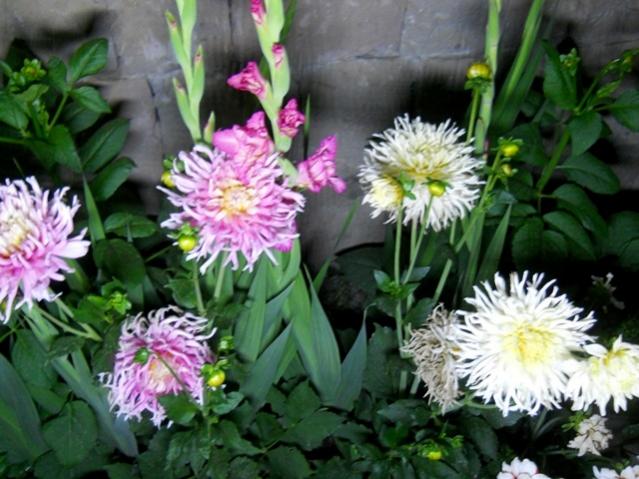 Name:  DSCN6651.jpg
Views: 578
Size:  54.5 KB