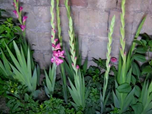 Name:  DSCN6652.jpg
Views: 538
Size:  49.3 KB