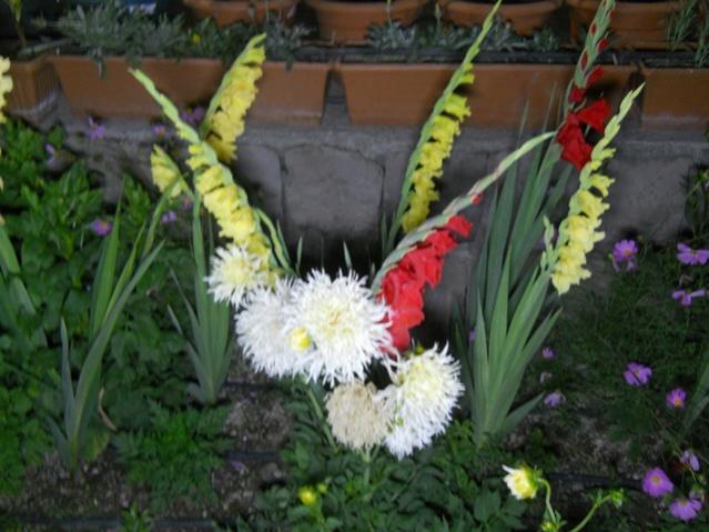 Name:  DSCN6654.jpg
Views: 559
Size:  48.0 KB
