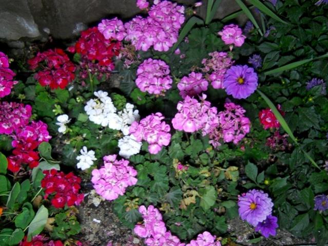 Name:  DSCN6649.jpg
Views: 533
Size:  68.5 KB