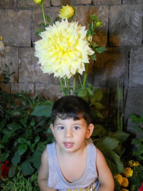Name:  DSCN6682.jpg
Views: 470
Size:  43.4 KB