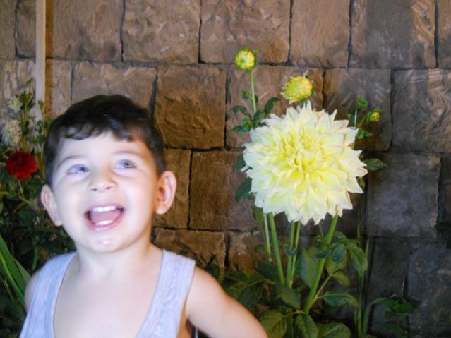 Name:  DSCN6684.jpg
Views: 467
Size:  43.3 KB