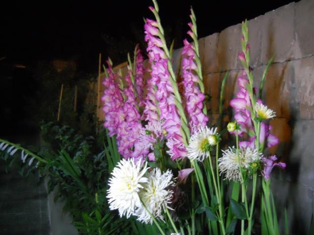 Name:  DSCN6691.jpg
Views: 795
Size:  43.0 KB