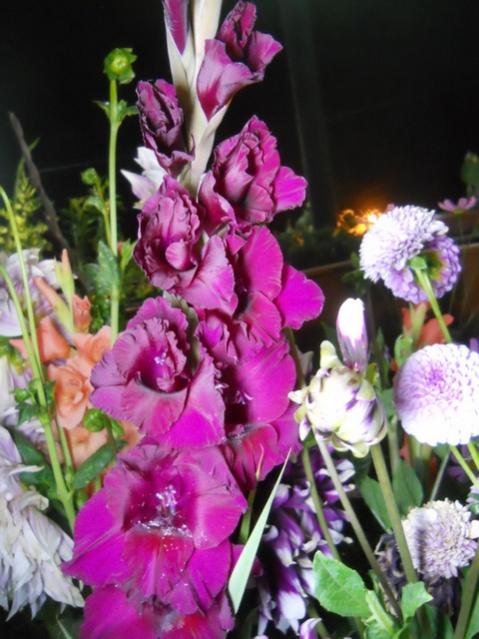 Name:  DSCN6708.jpg
Views: 782
Size:  51.6 KB