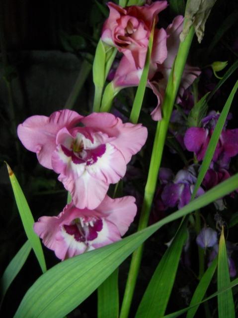 Name:  DSCN6710.jpg
Views: 785
Size:  38.4 KB