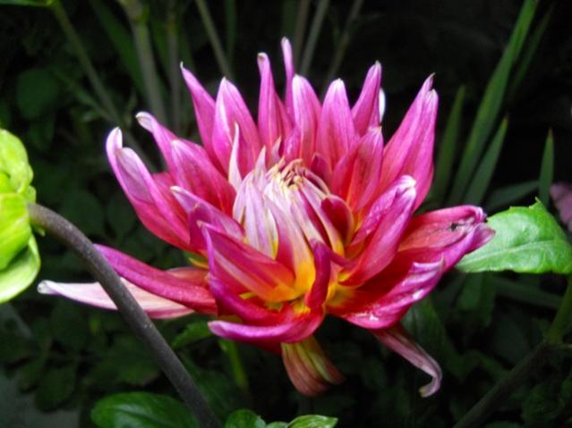Name:  DSCN6712.jpg
Views: 797
Size:  38.6 KB