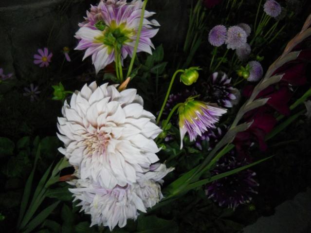 Name:  DSCN6725.jpg
Views: 777
Size:  39.5 KB