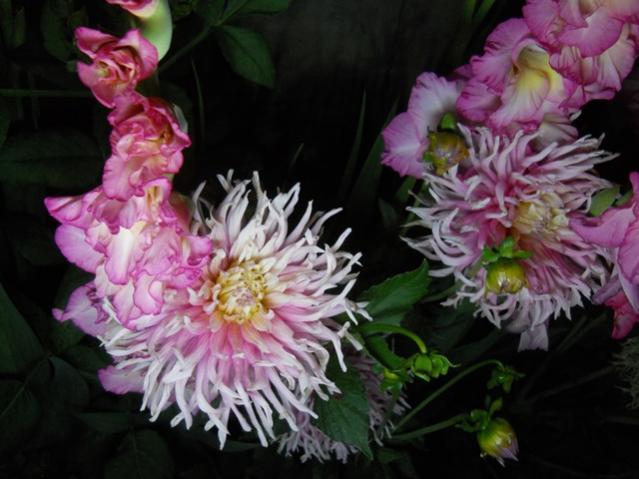 Name:  DSCN6730.jpg
Views: 760
Size:  44.3 KB