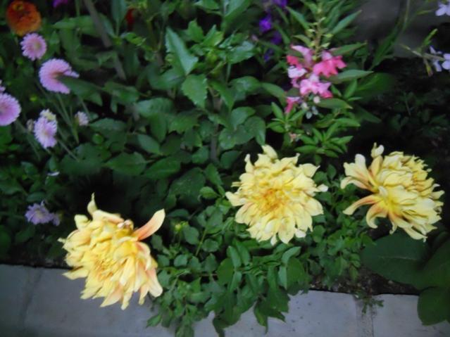 Name:  DSCN6716.jpg
Views: 797
Size:  44.7 KB