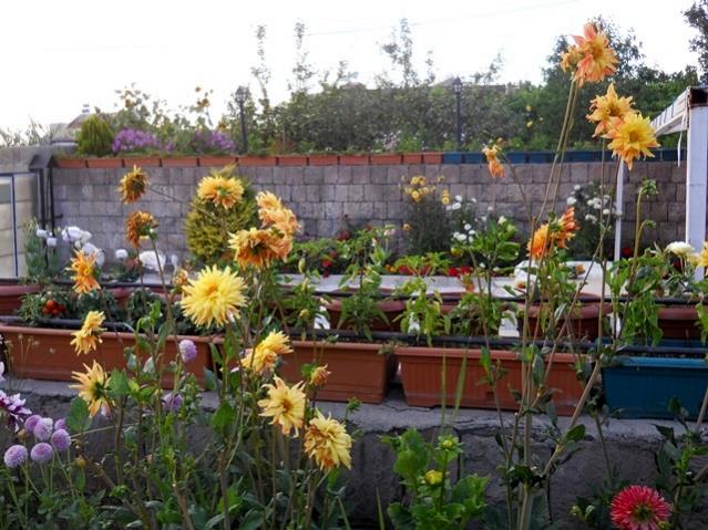 Name:  DSCN6884.jpg
Views: 720
Size:  64.4 KB