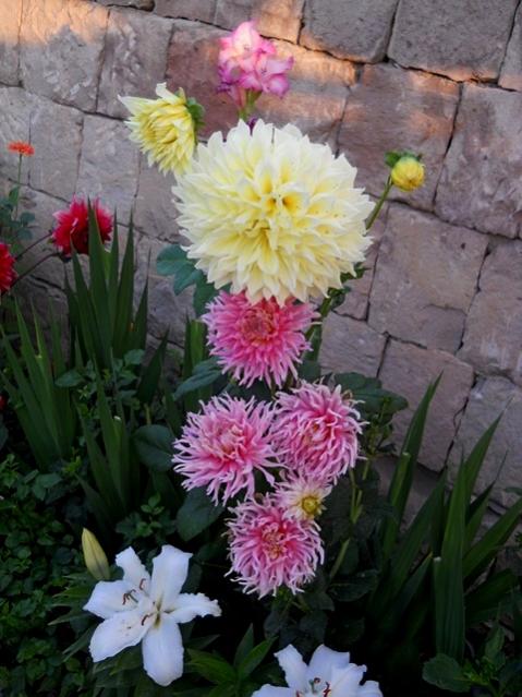 Name:  DSCN6863.jpg
Views: 674
Size:  52.7 KB