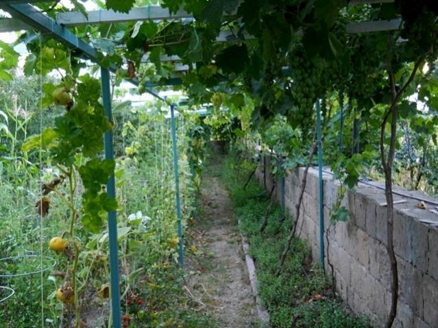 Name:  DSCN6912.jpg
Views: 443
Size:  68.5 KB