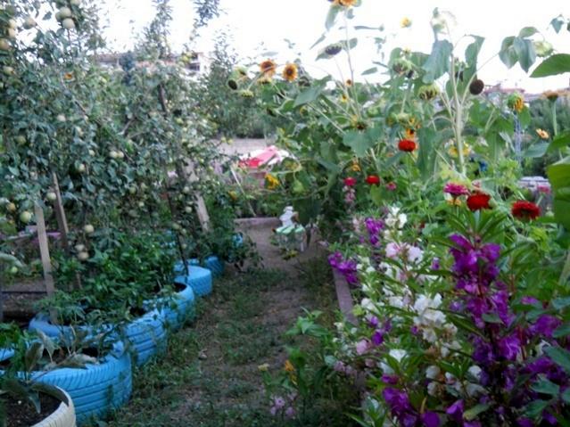 Name:  DSCN6944.jpg
Views: 601
Size:  67.6 KB