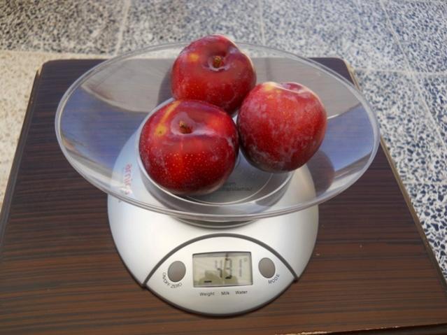 Name:  DSCN7028.jpg
Views: 453
Size:  43.2 KB