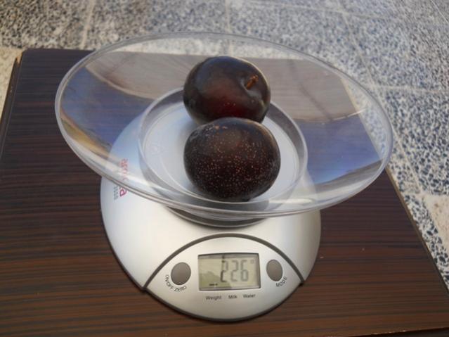 Name:  DSCN7029.jpg
Views: 464
Size:  37.8 KB