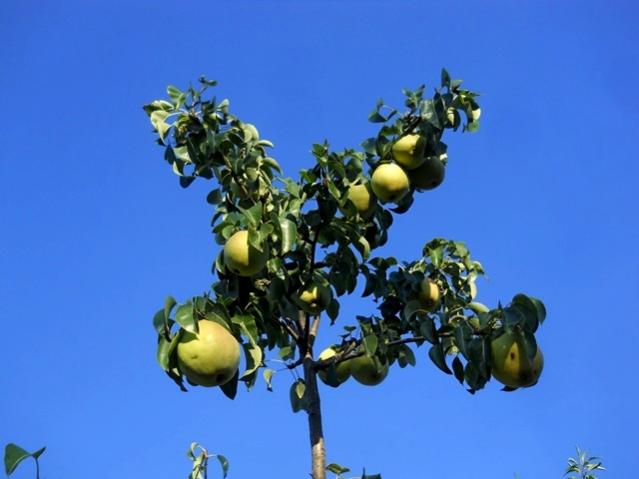 Name:  DSCN7054.jpg
Views: 970
Size:  30.9 KB