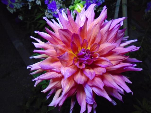 Name:  DSC00242.jpg
Views: 760
Size:  43.7 KB