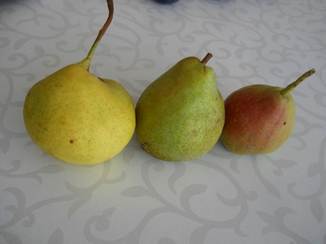 Name:  DSCN7168.JPG
Views: 738
Size:  65.5 KB