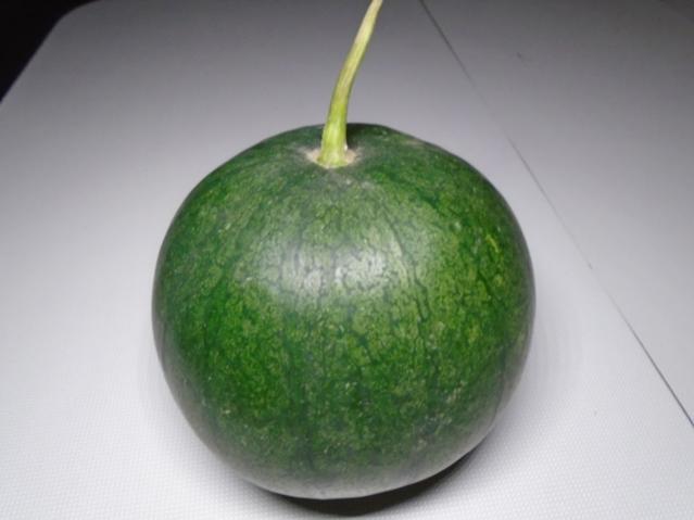 Name:  DSC00283.jpg
Views: 730
Size:  26.0 KB